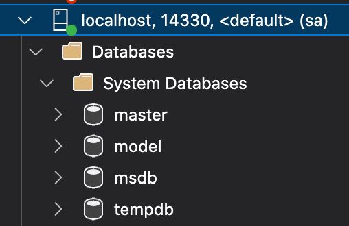 System Databases