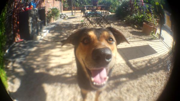 2017 05 07 06 24 59.jpg