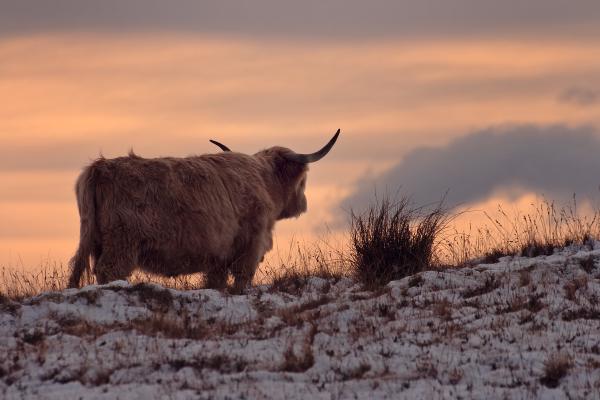 Skye 1 009 edited 1.jpg