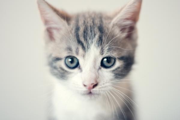  MG 0156 edited 1.jpg