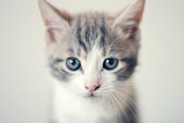  MG 0156 edited 1.jpg