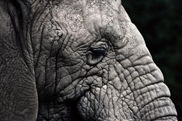 blair drummond 104 edited 1.jpg