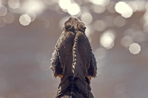 brisbane 035 edited 1.jpg