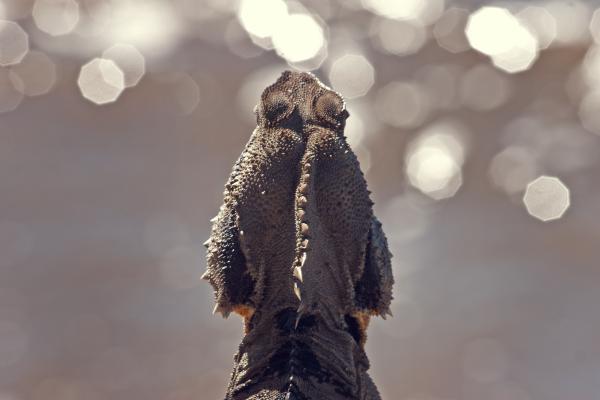 brisbane 035 edited 1.jpg