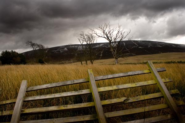 harlaw 088 edited 3.jpg