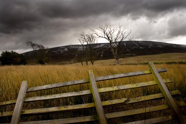 harlaw 088 edited 3.jpg