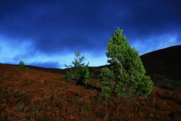 loch morlich aviemore 281207