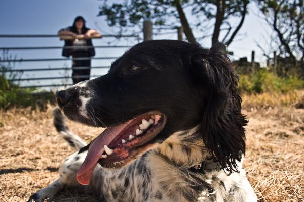 mayfield 068 edited 1.jpg