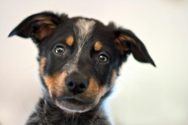 wallace 003 edited 1.jpg